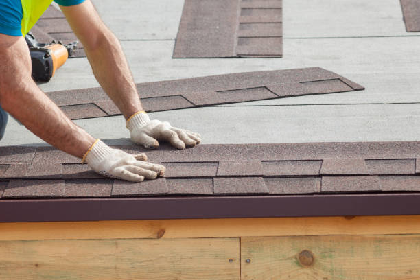Best Skylight Installation and Repair  in Campton Hls, IL